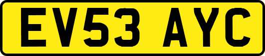 EV53AYC