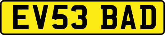 EV53BAD