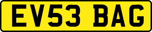 EV53BAG