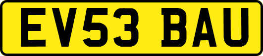 EV53BAU