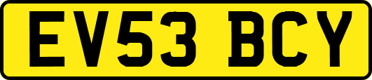 EV53BCY