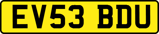 EV53BDU
