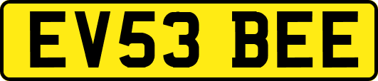 EV53BEE