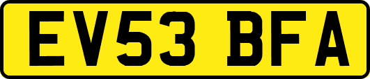 EV53BFA