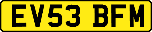 EV53BFM