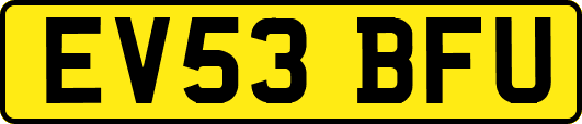 EV53BFU