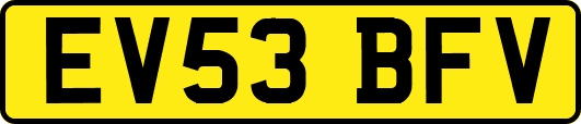 EV53BFV