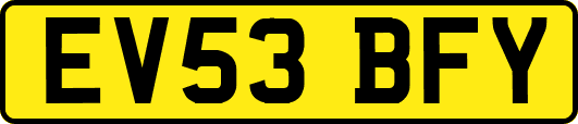 EV53BFY