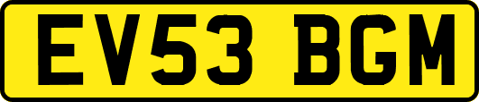 EV53BGM