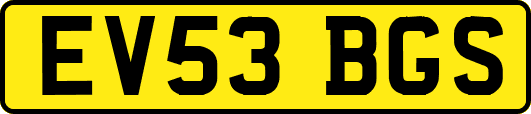 EV53BGS