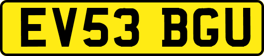EV53BGU