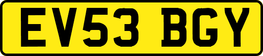 EV53BGY