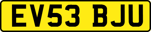 EV53BJU