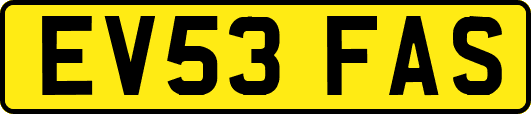 EV53FAS