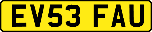 EV53FAU