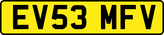 EV53MFV