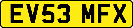 EV53MFX