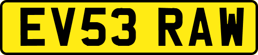 EV53RAW