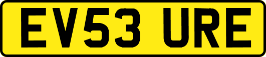 EV53URE