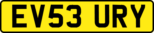 EV53URY