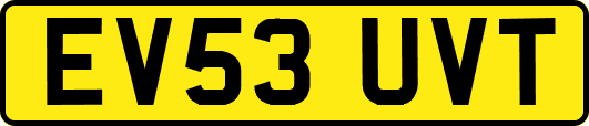 EV53UVT