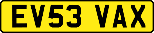 EV53VAX