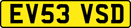 EV53VSD