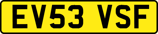 EV53VSF