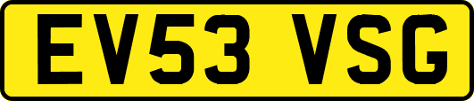 EV53VSG