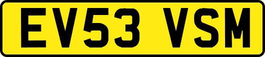 EV53VSM