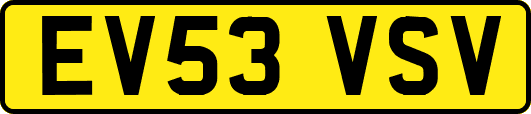 EV53VSV