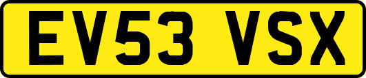 EV53VSX