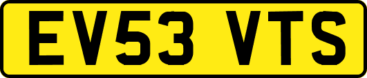 EV53VTS