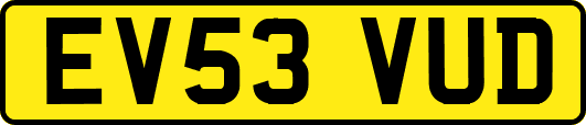 EV53VUD