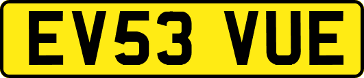 EV53VUE