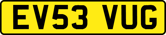 EV53VUG