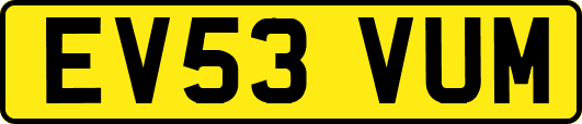 EV53VUM