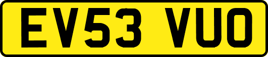 EV53VUO