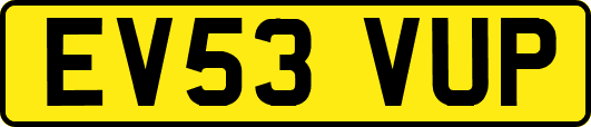 EV53VUP