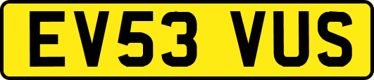 EV53VUS
