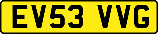 EV53VVG