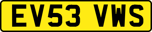 EV53VWS