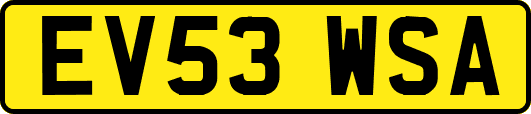 EV53WSA