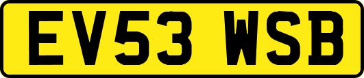 EV53WSB