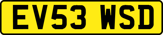 EV53WSD