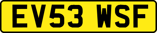 EV53WSF