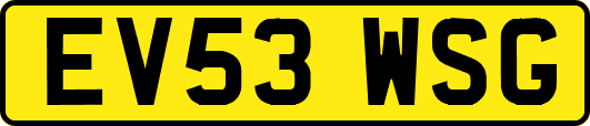 EV53WSG