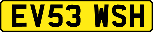 EV53WSH