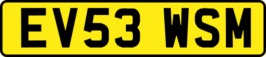 EV53WSM