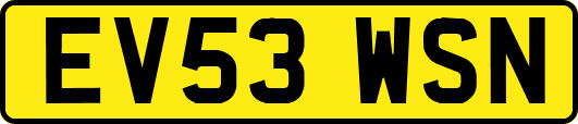 EV53WSN